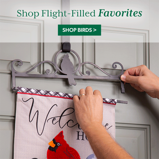 Shop Flight-Filled Favorites
