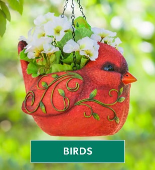 Shop Birding & Habitats