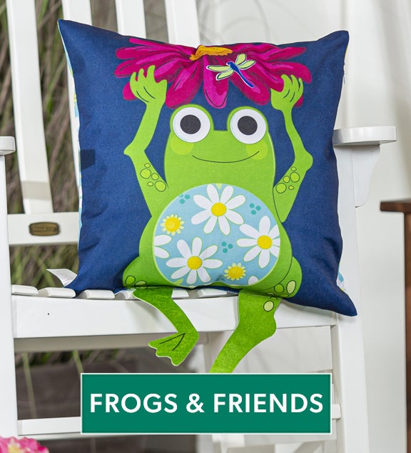 Shop Frogs and Friends
